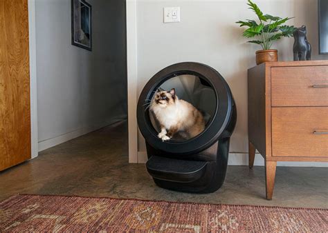 best cat litter box for apartment|litter box for small apartment.
